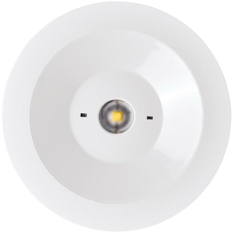 Luminaria di emergenza standard 300lm np 1h di