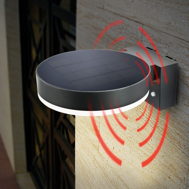 

Luminaria solar de pared con sensor de 600 lm para jardín 102598 - Esotec