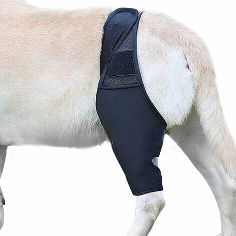 lune-Genouillère pour Chien Soins des Hanches et des articulations pour Chiens Attelle de Genou pour Chien, attelle de Jambe de Chien pour ACL déchiré, CCL, Luxation de la rotule, Soins des
