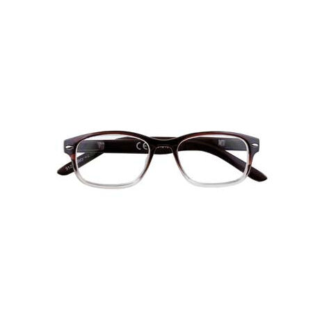 Lunettes de Lecture Monture Polycarbonate Marron Nuancé B1 - dioptries +3,5 - 31Z-B1-BRO350