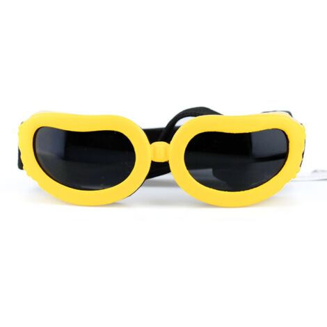 Lunettes de protection pour chien petite variété, lunettes de soleil pour chien