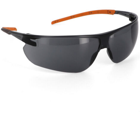 Lunettes de protection solaire Anti-rayures (K) et anti-buée (N) - SINGER - EVALIGHTA