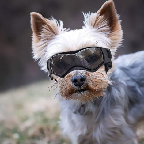 Lunettes de protection solaire pour chien de race moyenne et petite, protection UV, sangles réglables - Taille S - Noir