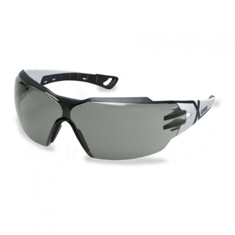 Lunettes de protection UVEX Pheos CX2 Supravision excellence gris