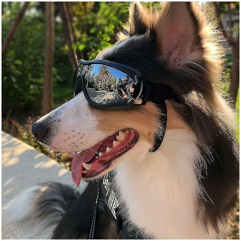 Lunettes de soleil pour chien de compagnie Lunettes de protection anti-UV imperméables et coupe-vent pour animaux de compagnie