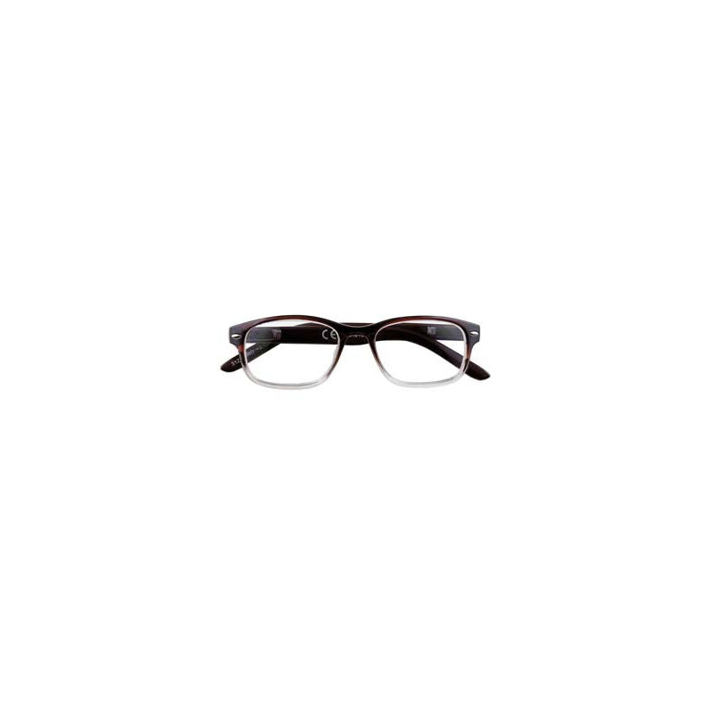Lunettes de Lecture Monture Polycarbonate Marron Nuancé B1 - dioptries +2.5 - 31Z-B1-BRO250