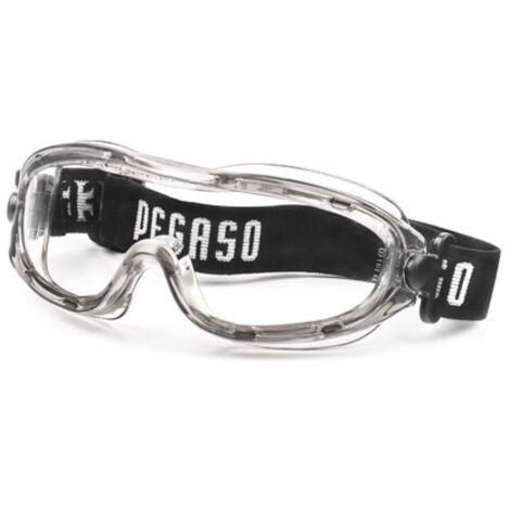 LUNETTES PANORAMIQUES GOGGLE