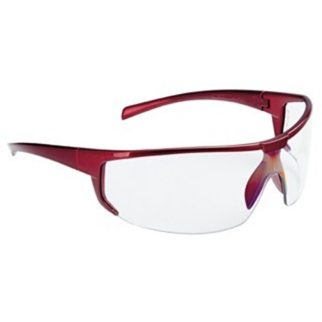 Lunettes Polaris, teinté,Cadres noir, FORTIS