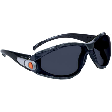 lunettes polycarbonate pacaya fumé - delta plus