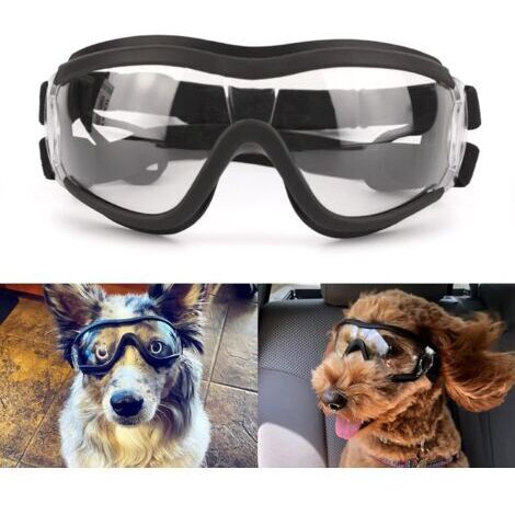 Lunettes pour Chiens Protection des Yeux à l'extérieur Sangle Réglable Facile à Mettre Lunettes de Soleil pour Animaux de Compagnie-Transparent