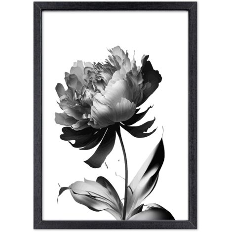 Lupia - Quadro Moderno in legno mdf con Cornice OPTICAL in Legno Sottile Nera BLACK PEONY 52x72 cm, Poster con Frasi motivazionali, decorazione arredo Casa, Ufficio, Regalo, Pronto da Appendere