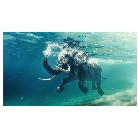 Lupia Quadro Moderno, Vetro Acrilico Plexy, Facile da appendere, da parete, stampa con Colori intensi, prodotto in Italia, 100x150 cm ELEPHANT IN THE WATER