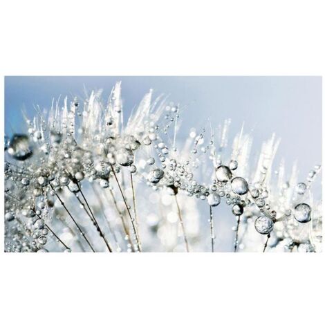 Lupia Quadro Moderno, Vetro Acrilico Plexy, Facile da appendere, da parete, stampa con Colori intensi, prodotto in Italia, 100x180 cm DANDELION WHITE