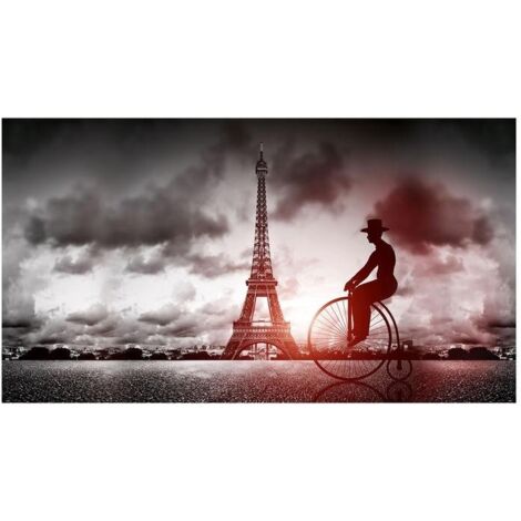Lupia Quadro Moderno, Vetro Acrilico Plexy, Facile da appendere, da parete, stampa con Colori intensi, prodotto in Italia, 100x180 cm PARIS BIKE PLEXART