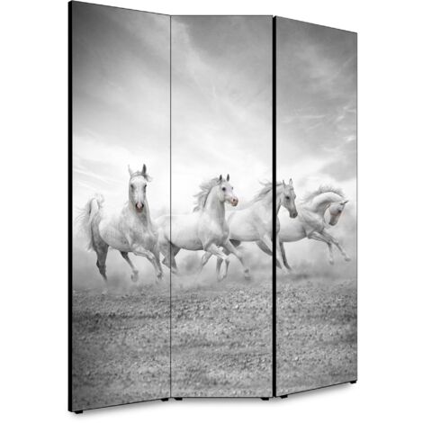 Lupia - Separe' per interni, Divisorio 135,6 x H 176 x P 3,1 cm FOUR HORSES paravento 3 Ante in legno con Tele stampate fronte retro Soggetto unico