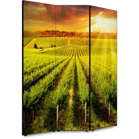 Lupia - Separe' per interni, Divisorio 135,6 x H 176 x P 3,1 cm IL VIGNETO paravento 3 Ante in legno con Tele stampate fronte retro Soggetto unico