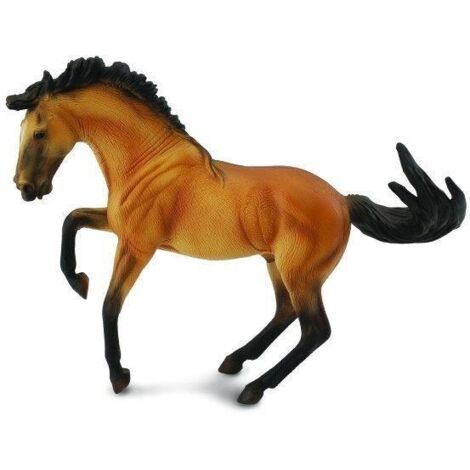 Lusitano Hengst Buckskin