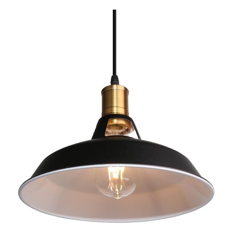 ZVD - Lustre Moderne Rétro en Fer Forgé - Simple Tête, Bar, Restaurant, Café, Magasin de Vêtements, Couleur Noire, D30cm, 2 Lignes de Deux Mètres