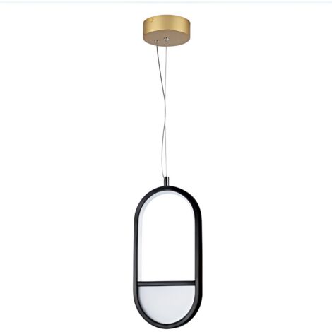 Luxueux plafonnier ovale en aluminium noir et or, 13,5 W, lumière 2700 K, décoration artistique minimaliste