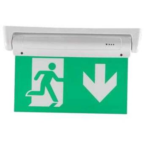 Luz de salida de emergencia de doble cara de 3 W, pictograma a continuación, para montaje en techo o pared.