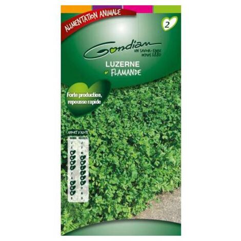 Luzerne Flamande alimentation animale 80gr - 30 m2
