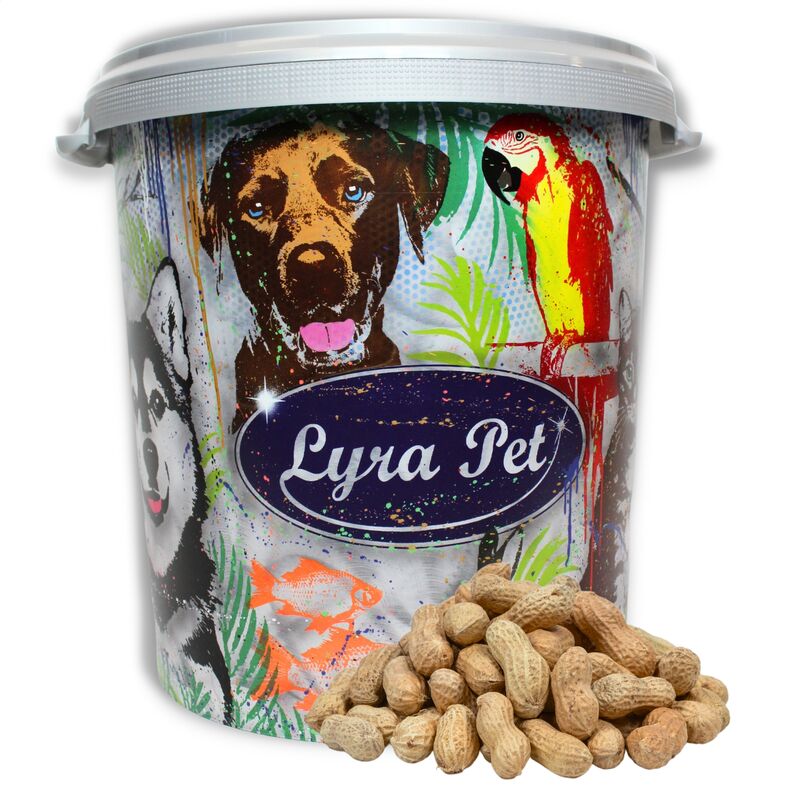 10 kg Lyra Pet Erdnusskerne in Schoten in 30 l Tonne