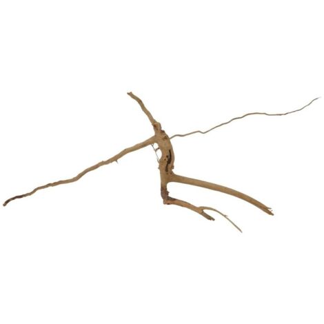 M Moorkienwurzel Nr.7322 Holz Deko Aquascaping