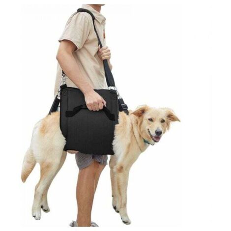 (M, Schwarz) Hundetragegeschirr, Notfallrucksack zur Unterstützung und Rehabilitation der Beine von Haustieren