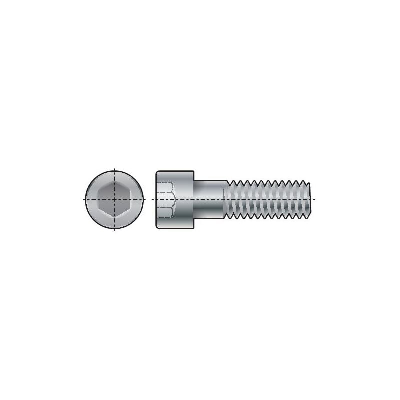 M4X20 Skt Head Cap Screw zn Flake (GR-12.9)- you get 25 - Qualfast