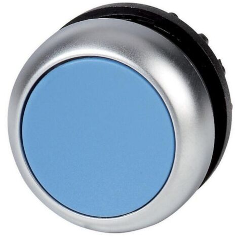 M22-DB-Antrieb, flacher blauer Knopf, selbstrückstellend