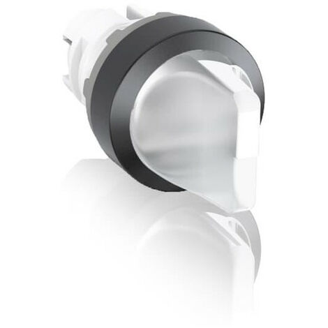 M3Ss1-11C Bouton Tournant lumineux à 3 Positions 1SFA611210R1108 ABB 840702
