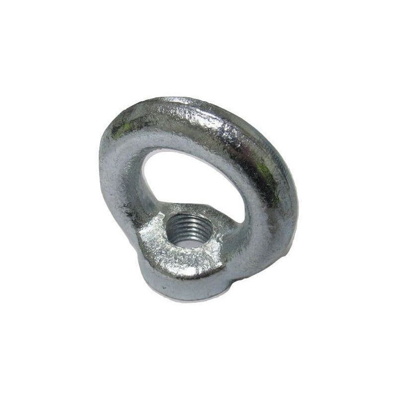 Securefix Direct - M6 Lifting Eye Nut - 6MM Zinc Plated Threaded Eyenut DIN582 0.07 Ton