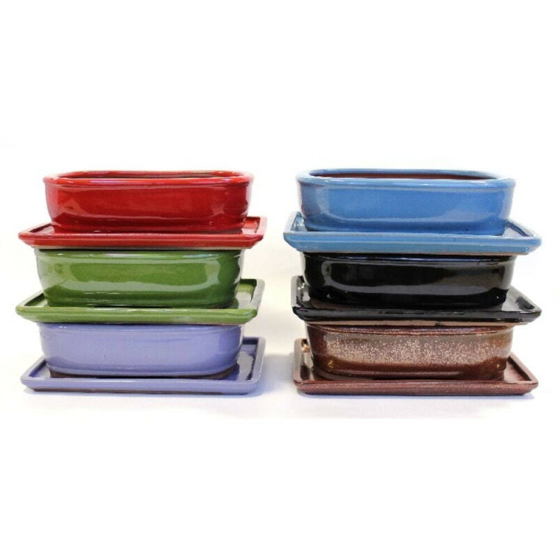 

Maceta Bonsai Basic Oval Con Plato 15Cm