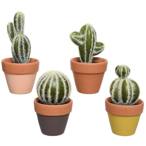 MACETA CACTUS SURTIDA