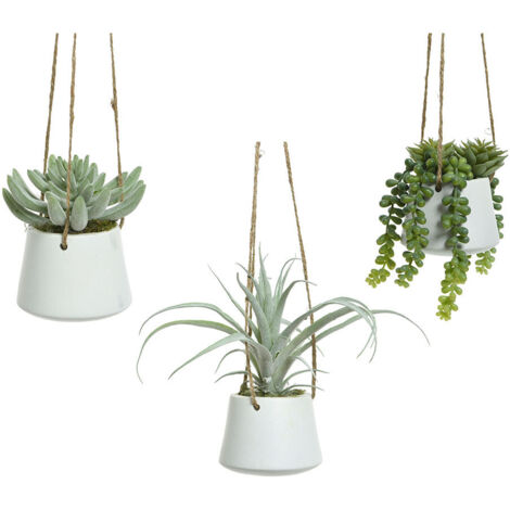 Maceta colgante de suculenta, 20 cm, modelos variados