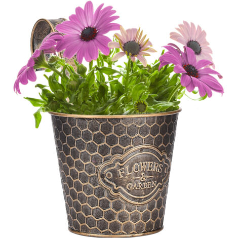 Maceta colgante rústica de metal, cesta decorativa vertical de pared, soporte para suculentas, cactus y hierbas, almacenamiento impermeable sin orificios de drenaje, negro, gris, blanco