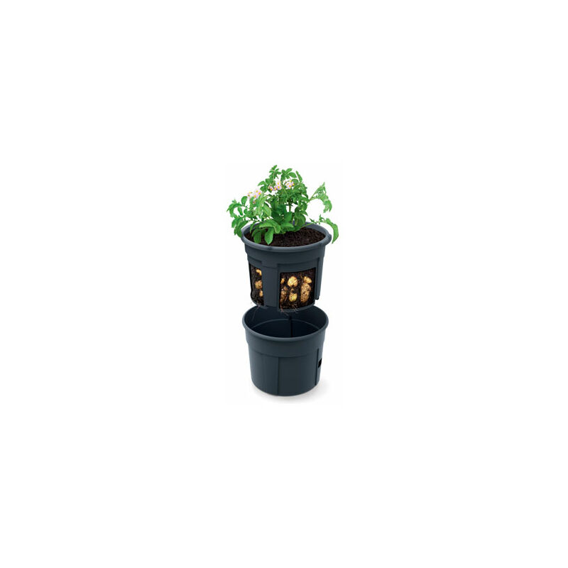 

VAM - Maceta con Estructura para Cultivar Tomates IPOM300-S433