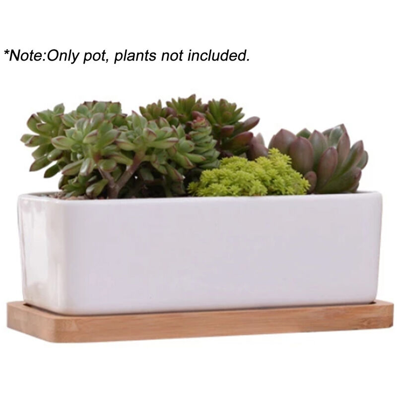 

Maceta de ceramica rectangular blanca con bandeja de bambu Maceta de plantas suculentas para decoracion de escritorio de mesa