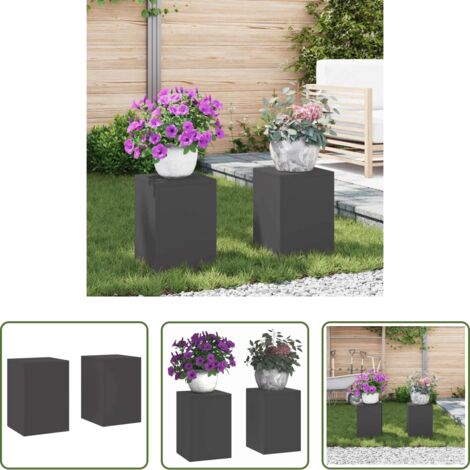 Maceta de metal -  Soporte de plantas 2 pcs Negro 24 x 24 x 35 cm Acero