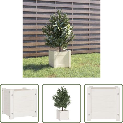 Maceta de pino -  Jardinera de madera maciza de pino blanco 31x31x31 cm