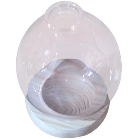 Maceta Hidropnica Florero Soporte Para Plantas En Rosa
