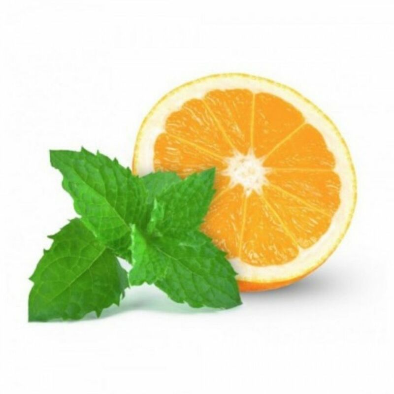 

Maceta de Menta Naranja 10,5 cm. Gama Tradicional -