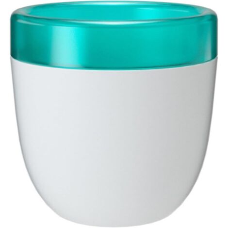 Maceta perezosa con sistema de absorción automática de agua y autorriego para plantar y cuidar suculentas de aloe vera de resina plástica (blanca)
