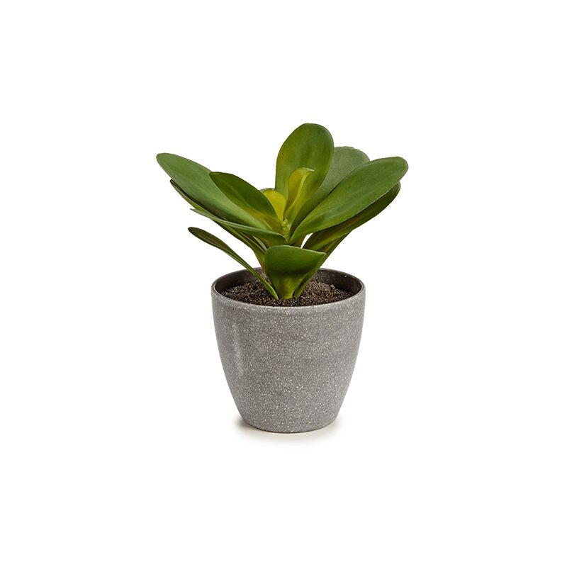 

Oemar - Planta de plastico hoja redonda 15 cm Verde