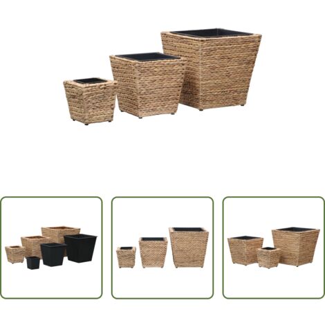Macetas de jacinto -  Conjunto de arriates 3 piezas jacinto de agua