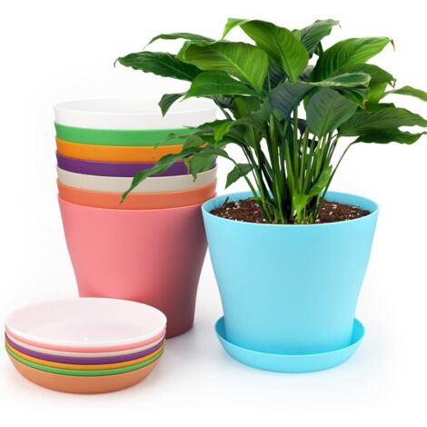 Macetas de plástico de 8 piezas de 16 cm, ideales para interior y exterior, con bandejas, ideales para plántulas y cactus.