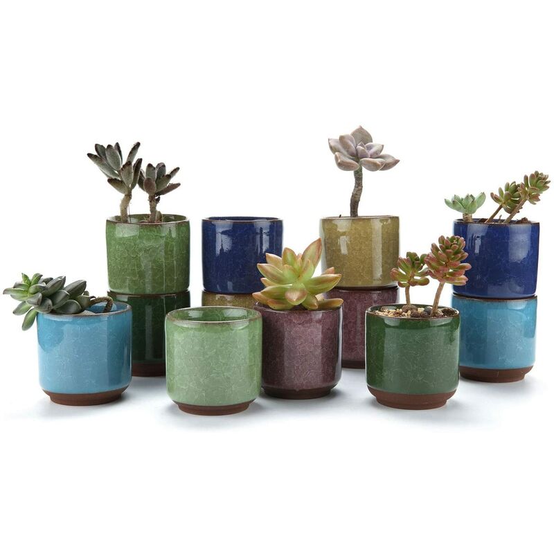 

Macetas suculentas de cerámica de 6,5 CM Crackle Series Planta suculenta Cactus Maceta Maceta Cultivar 1 paquete de 12 Regalo para bodas de