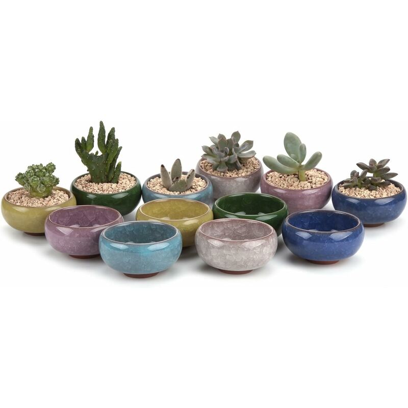 

Macetas suculentas de cerámica de 6,5 CM Crackle Zisha Series para macetas de cactus de plantas suculentas, paquete de 12, regalo para bodas de