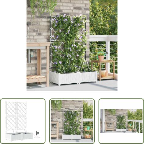 Macetero de acero -  Macetero de Jardín 2 pcs Acero