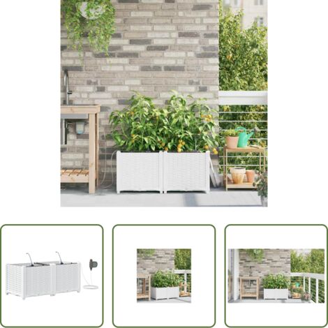 Macetero de acero -  Macetero de Jardín 2 pcs Acero